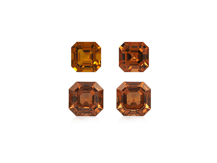 Garnet 6.52 CT / 4