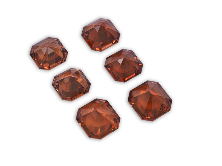 Earring Set Garnet 13.39 CT / 6