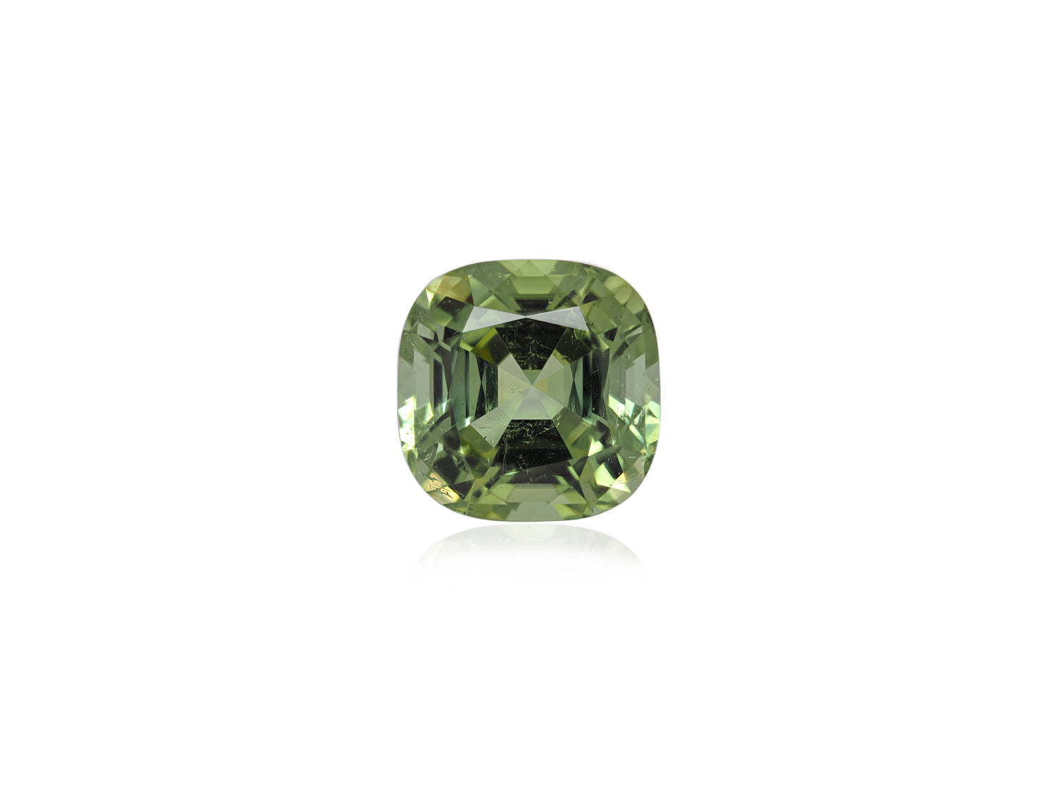 Tourmaline 13.73 CT