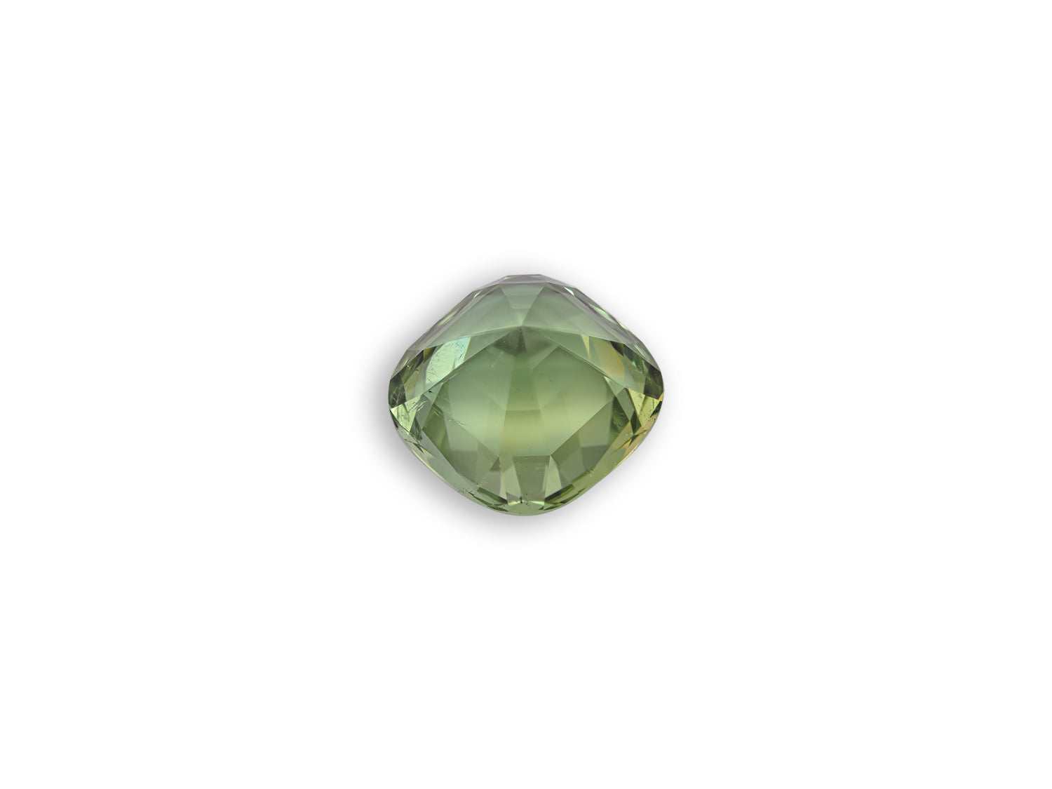 Tourmaline 13.73 CT